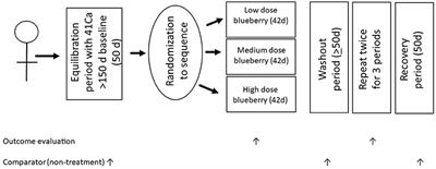 Designing, Conducting, and Documenting Human Nutrition Plant-Derived Intervention Trials